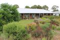 Property photo of 121 Ramsay Terrace Bordertown SA 5268