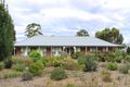 Property photo of 121 Ramsay Terrace Bordertown SA 5268