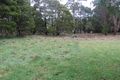 Property photo of 66 Main Road Beech Forest VIC 3237