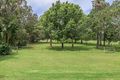 Property photo of 24 Daffodil Street Tallebudgera QLD 4228