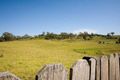 Property photo of 9 Japura Place Kearns NSW 2558