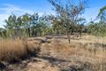 Property photo of 7 Calliungal Road Baree QLD 4714