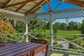 Property photo of 256 Dingo Lane Myocum NSW 2481