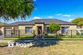 Property photo of 43 Palm Avenue Royal Park SA 5014