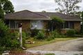 Property photo of 9 Crammond Place Minto NSW 2566