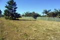 Property photo of 15 Britannic Avenue Cooloola Cove QLD 4580