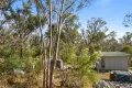 Property photo of 55 Panhandle Road Uralla NSW 2358