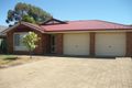 Property photo of 10 Maple Avenue Nuriootpa SA 5355