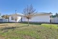 Property photo of 1 Alexander Street Robinvale VIC 3549