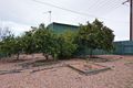 Property photo of 299 McBryde Terrace Whyalla Playford SA 5600