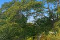 Property photo of 70 Davies Road Ashgrove QLD 4060