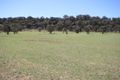 Property photo of 1048-1052 Cullingral Road Merriwa NSW 2329