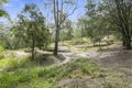 Property photo of 223 Clagiraba Road Mount Nathan QLD 4211