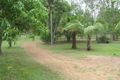 Property photo of 458 Cross Road Euleilah QLD 4674