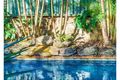 Property photo of 8 Flaminia Street Currumbin Waters QLD 4223