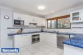 Property photo of 31 Lobelia Avenue Daisy Hill QLD 4127