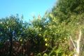 Property photo of 15 Dunstan Court Noosaville QLD 4566