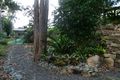 Property photo of 2428 Pine Creek Yarrabah Road East Trinity QLD 4871