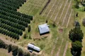 Property photo of 362 New England Highway Tenterfield NSW 2372