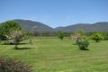 Property photo of 785 Back Eildon Road Thornton VIC 3712