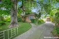 Property photo of 44 Snell Grove Pascoe Vale VIC 3044