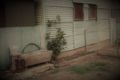 Property photo of 4 Ross Street Waikerie SA 5330