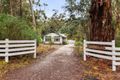 Property photo of 20 Mary Road Wheatsheaf VIC 3461