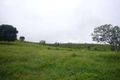 Property photo of 159 Sisalana Road Bajool QLD 4699