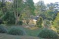 Property photo of 21 Dapsang Drive Tamborine Mountain QLD 4272