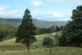 Property photo of 330 Braslins Road Black Hills TAS 7140