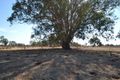 Property photo of 1622 Wangaratta-Whitfield Road Docker VIC 3678