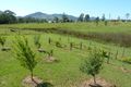 Property photo of 12 Mahogany Drive Gloucester NSW 2422