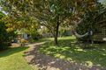 Property photo of 25 Telford Drive Berwick VIC 3806