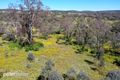 Property photo of 24 Queen Street Molong NSW 2866