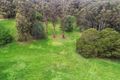 Property photo of 55 Correa Road Yellingbo VIC 3139