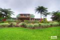 Property photo of 34 Glaspy Road Malanda QLD 4885