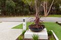 Property photo of 39B Ochiltree Way Kardinya WA 6163