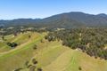 Property photo of 1437 North Arm Road Argents Hill NSW 2449