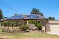 Property photo of 10 Lavinia Grove Highbury SA 5089