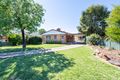 Property photo of 80 Palmer Street Dubbo NSW 2830