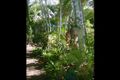 Property photo of 43 Friarbird Drive Narangba QLD 4504
