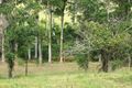 Property photo of 409 Shadbolt Road Mothar Mountain QLD 4570