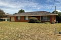 Property photo of 24 Palmer Crescent Gunnedah NSW 2380