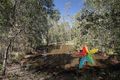 Property photo of 92-98 Chadwick Drive South Maclean QLD 4280