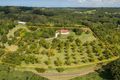 Property photo of 151 Byrnes Lane Tuckombil NSW 2477