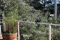 Property photo of 41 Black Avenue Venus Bay VIC 3956