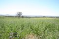 Property photo of 612 Springfield Lane Gulgong NSW 2852