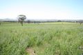 Property photo of 612 Springfield Lane Gulgong NSW 2852