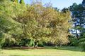 Property photo of 87-93 Mackeys Lane Robertson NSW 2577