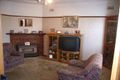 Property photo of 60 Turton Avenue Clemton Park NSW 2206